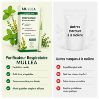 Purificateur à la molène Mullea