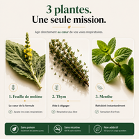 Purificateur à la molène Mullea